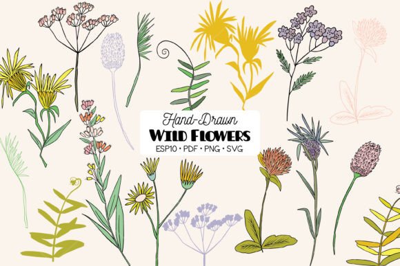Download Colored Wild Flowers, Meadow Plant, Fern - Red Collection