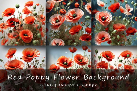 Download Red Poppy Flower Backgrounds - Red Collection